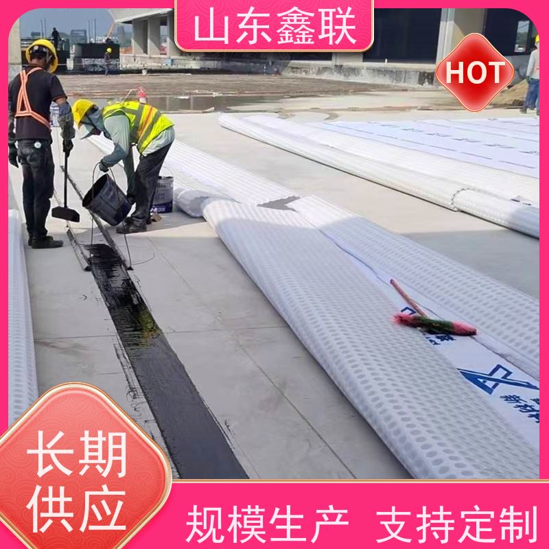 鑫联新材料 虹吸雨水排放系统 专注生产供应 H30双面排蓄水异形片