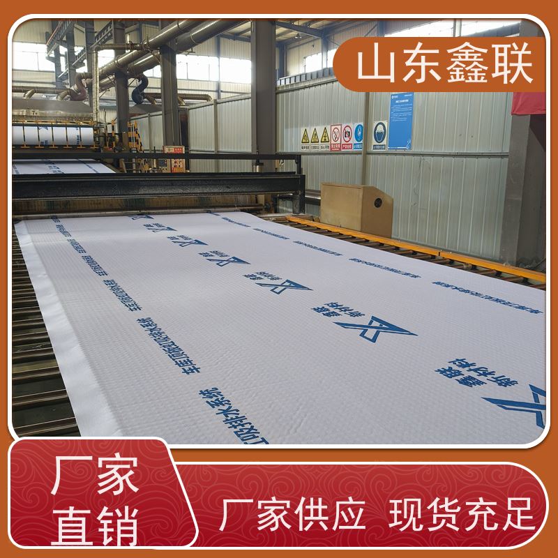 鑫联新材料 车库顶板虹吸排水系统 10年大厂品牌 15高板布一体疏水板