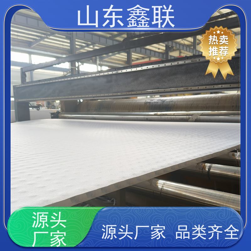 鑫联新材料 有序虹吸排水系统 10年大厂品牌 20高分子异型片材