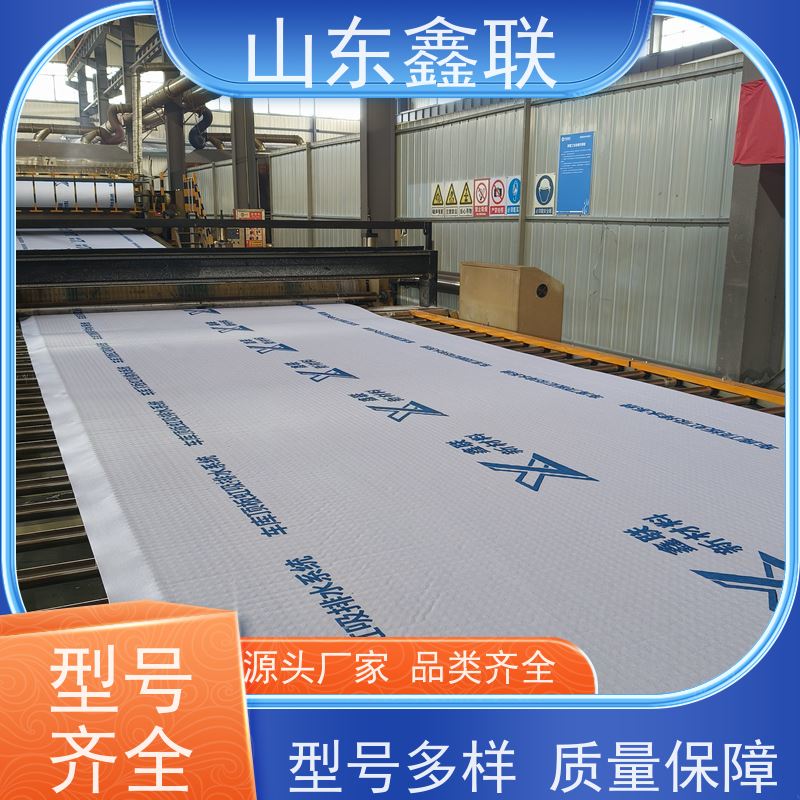 鑫联新材料 有序虹吸排水系统 严选自营 15高板布一体疏水板