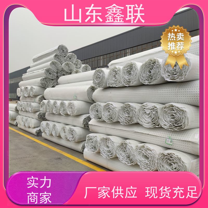 鑫联新材料 车库虹吸系统 百亩面积厂商 H25双面抗压排水异形片