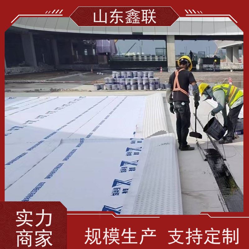 鑫联新材料 种植屋面虹吸排水系统 科研创新 H30双面排蓄水异形片