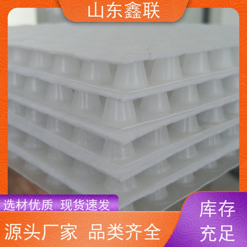 鑫联新材料 虹吸排水板施工 严选自营 20高分子异型片材