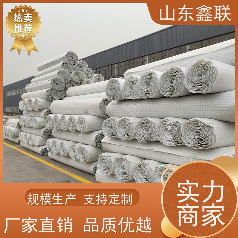 鑫联新材料 有序虹吸排水系统 车库顶板专用 H30双面排蓄水异形片
