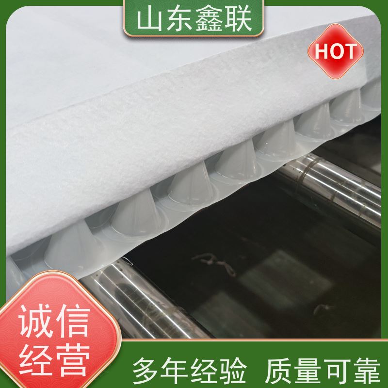 鑫联新材料 虹吸雨水排放系统 10年大厂品牌 H25双面抗压排水异形片