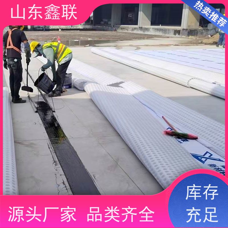 鑫联新材料 虹吸排水板施工 大厂实力批发 20高分子异型片材