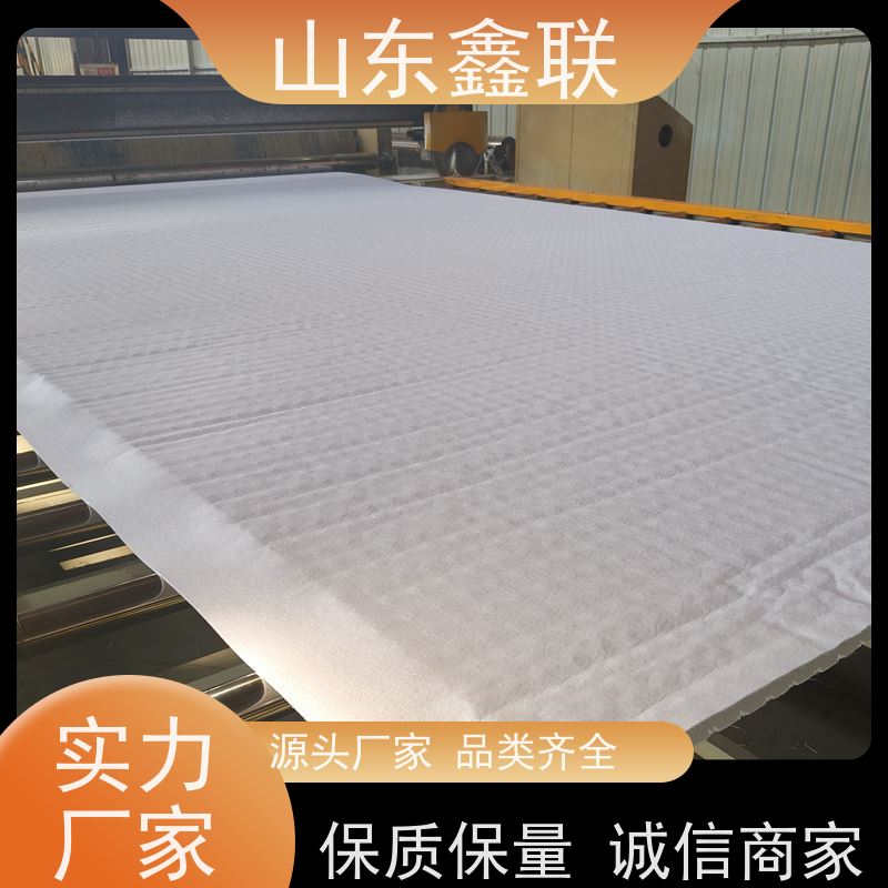鑫联新材料 有序虹吸排水系统 科研创新 15高板布一体疏水板
