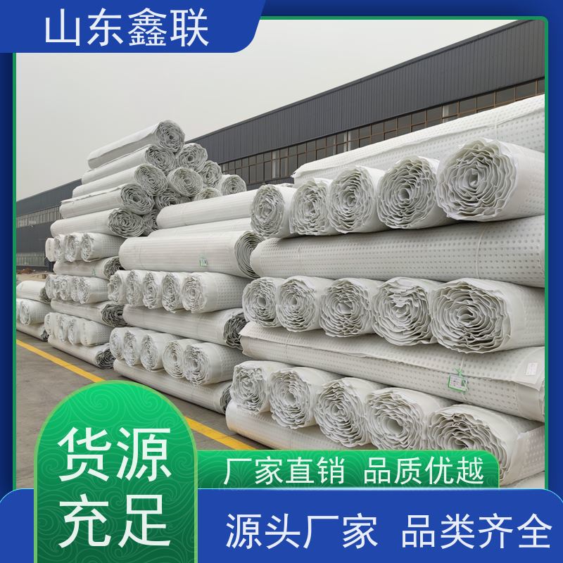 鑫联新材料 虹吸雨水排放系统 中国绿色建材 H30双面排蓄水异形片