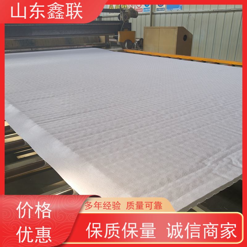 鑫联新材料 虹吸雨水排放系统 设计院认可 复合高分子防护排水异形片