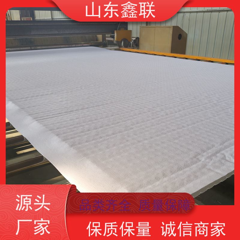 鑫联新材料 虹吸雨水排放系统 大厂实力批发 15高板布一体疏水板