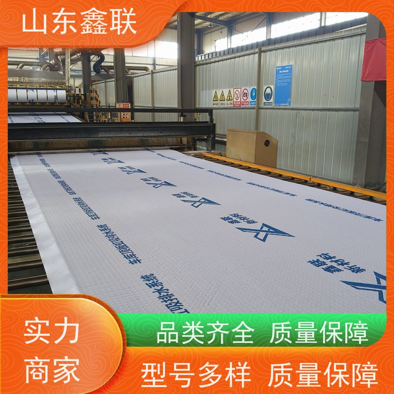 鑫联新材料 防护虹吸排水系统 大厂实力批发 15高板布一体疏水板