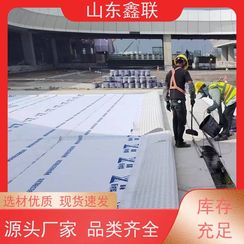鑫联新材料 车库顶板虹吸排水 国检认证品质 H30双面排蓄水异形片