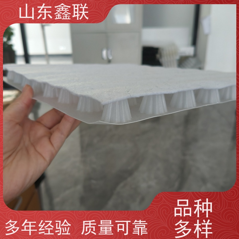 鑫联新材料 虹吸排水板施工 设计院认可 20高分子异型片材