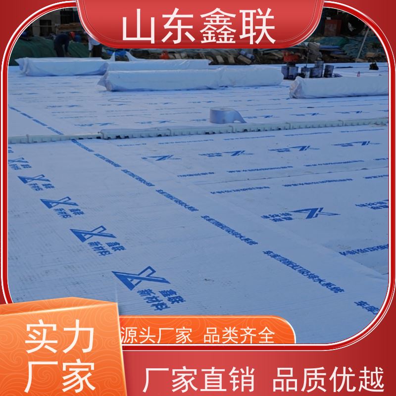 鑫联新材料 种植屋面虹吸排水系统 百亩面积厂商 20高分子异型片材