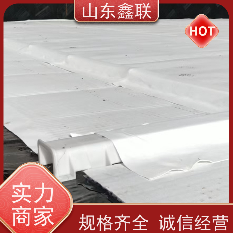 鑫联新材料 虹吸排水板施工 屋顶花园绿化 20高分子异型片材