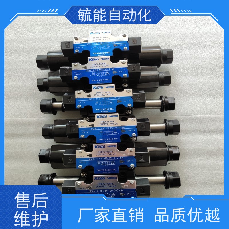 油顺ASHUN单向泄压阀DSG-02-3C10系列