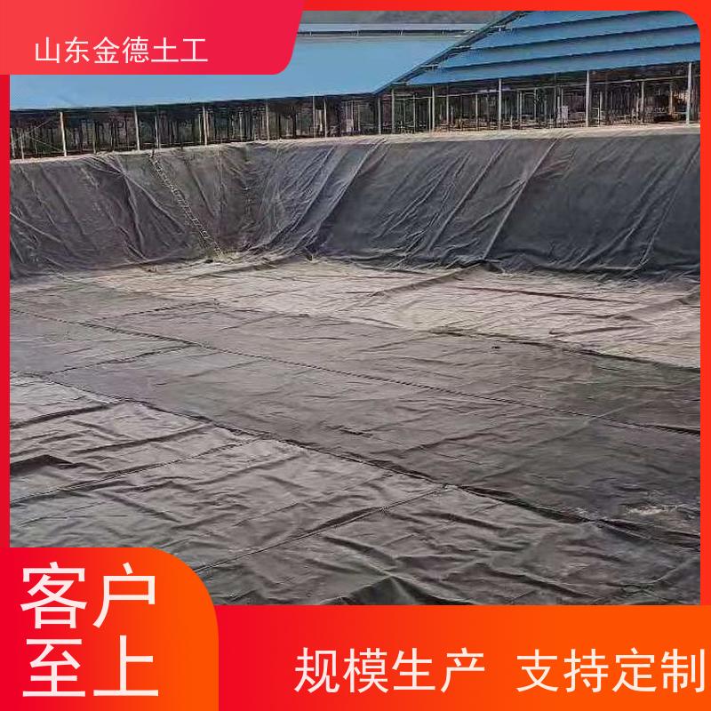 金德土工 填埋场覆盖层 1.0mm厚建标土工膜 抗高温 耐低温