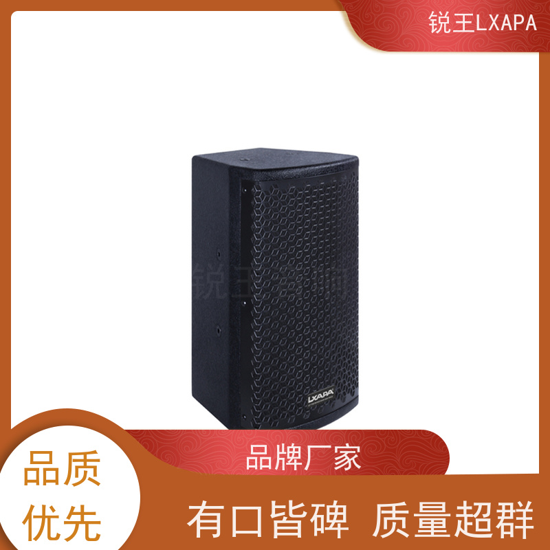 锐王LXAPA 数字功放 双10寸线阵音箱 无线会议音柱 演出音响