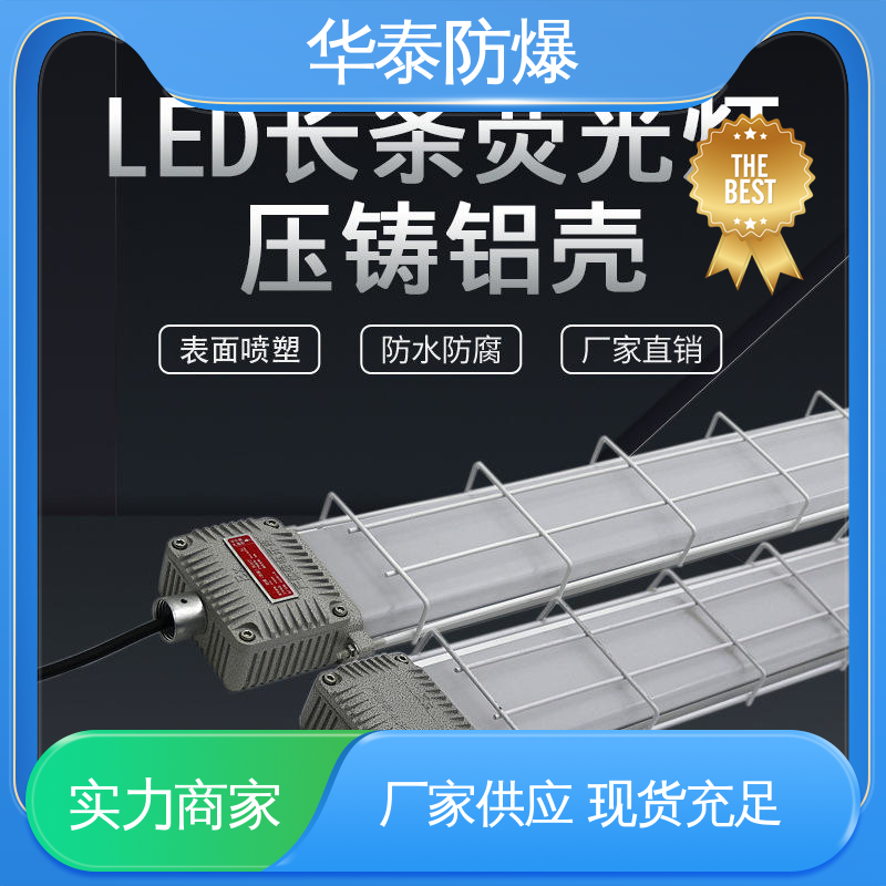  投光灯 质量精选 规格齐全 CEA 密封性好 华泰防爆