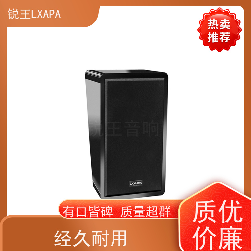 锐王LXAPA 演出音响 广播设备 弧形会议音柱 线阵音箱