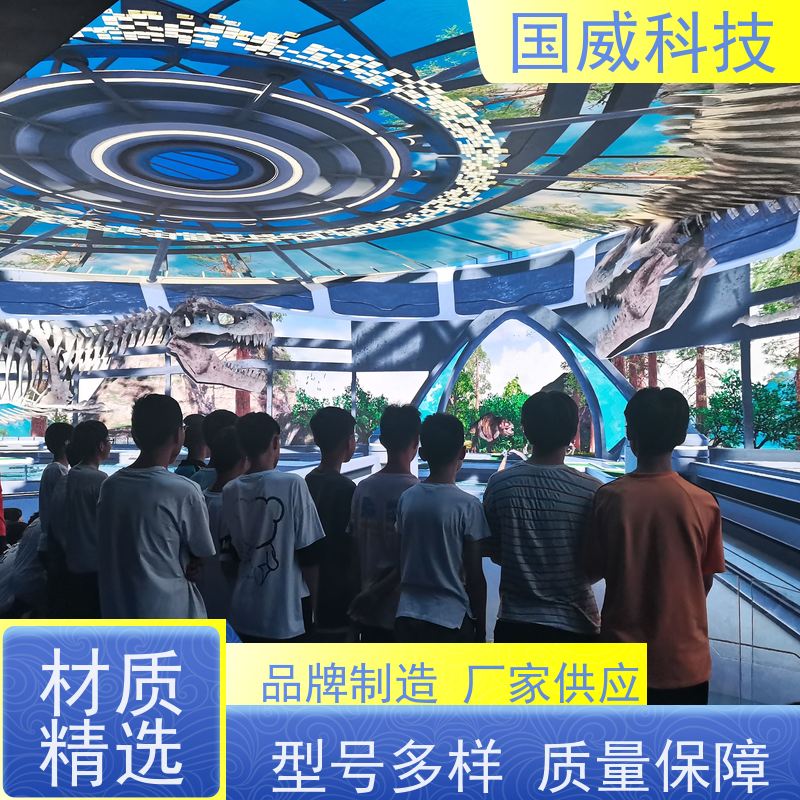 国威科技 飞越主题项目 球幕影院 梦幻 品牌厂商
