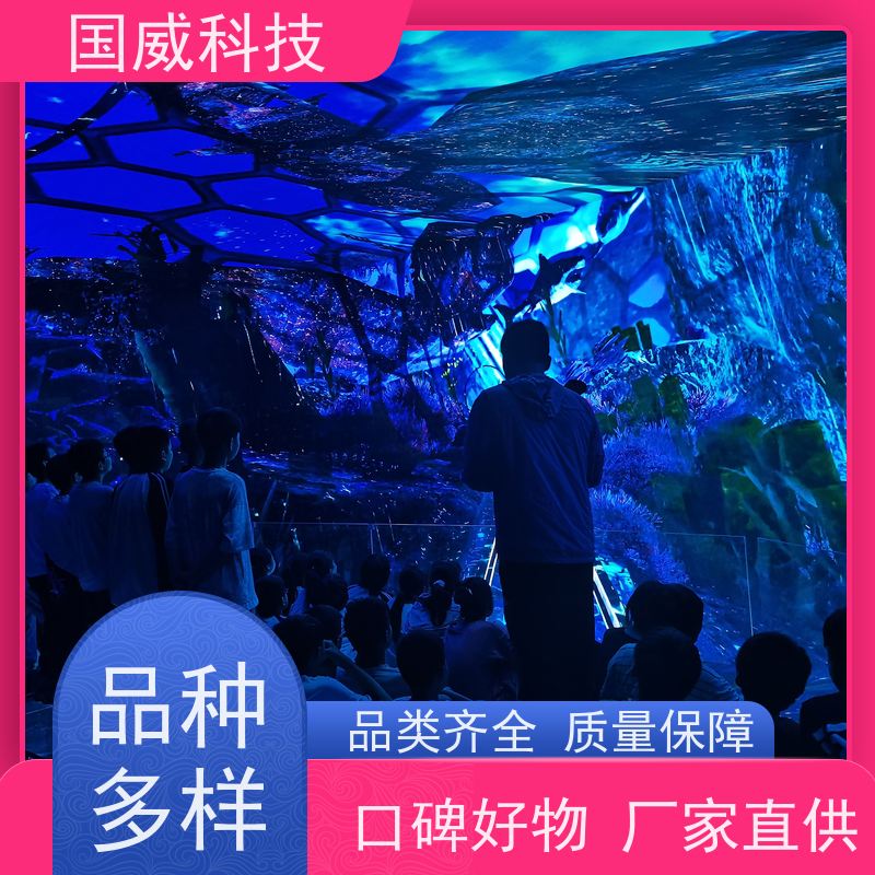 国威科技 景区项目提升 飞行影院 沉浸式 品牌公司