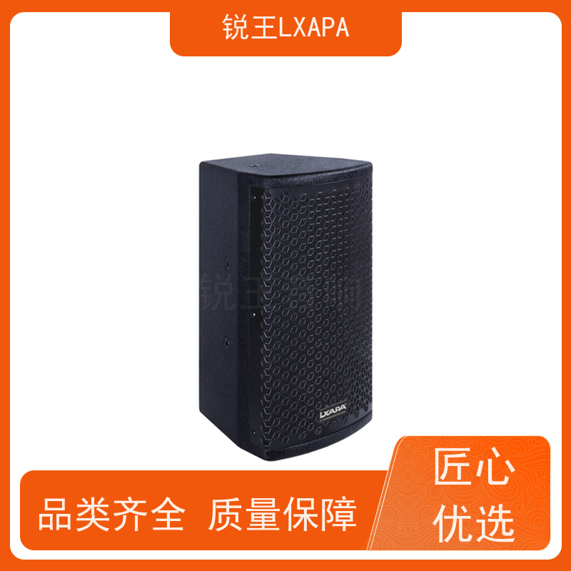 锐王LXAPA 声扬线阵音箱 安装方便快捷 会议系统的音柱 户外音响设备