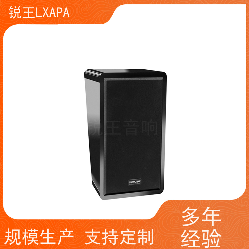 锐王LXAPA 细腻高频表现 小线阵音箱 定压音柱 会议厅音响设备