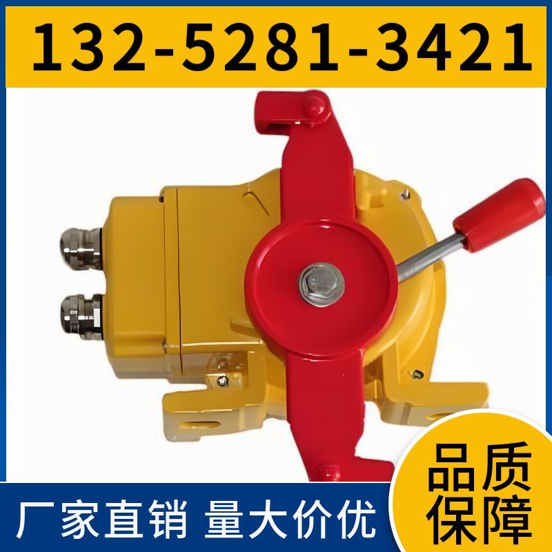  不锈钢双向拉绳开关 性能稳定 黑德兰装备制造