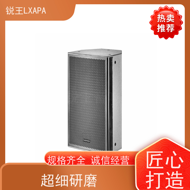 锐王LXAPA 人声音箱 舞台功放 会议工程音柱 晚会音响设备