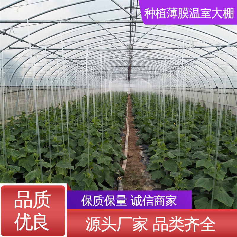 图6