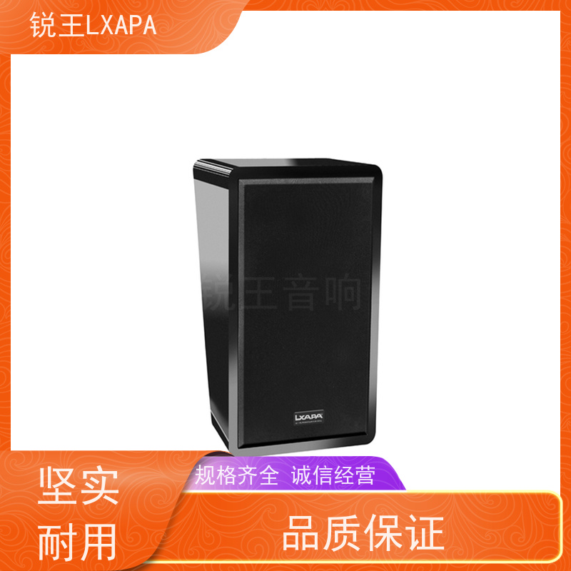 锐王LXAPA 中小型会场 吸顶音箱 定压音柱 会议音响扩声系统