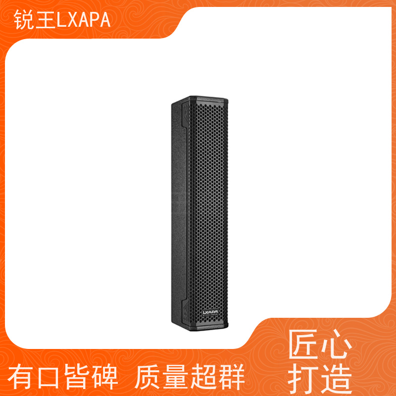 锐王LXAPA 8寸线阵音箱 舞台演出扩音 会议系统音柱 礼堂音响设备