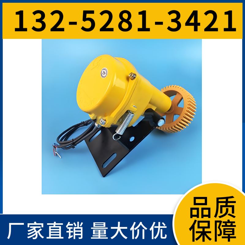  DH-SA型 皮带机打滑检测装置 安装位置灵活 销售处