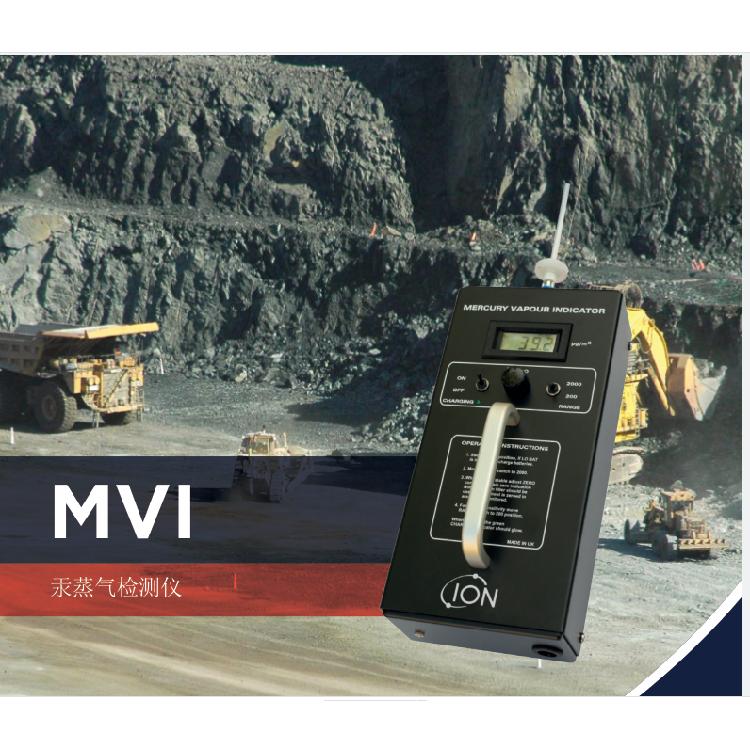 便携式汞蒸气测定仪双束UV吸收技术MVI-DL英国离子