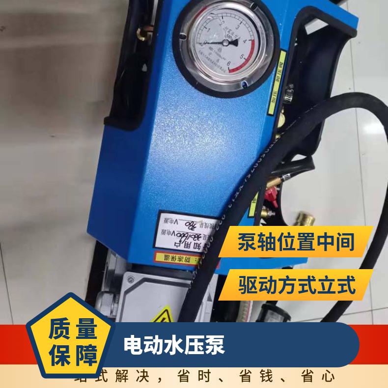 标配1.5米高压软管 LB-7X10电动水压泵硫化打压装置