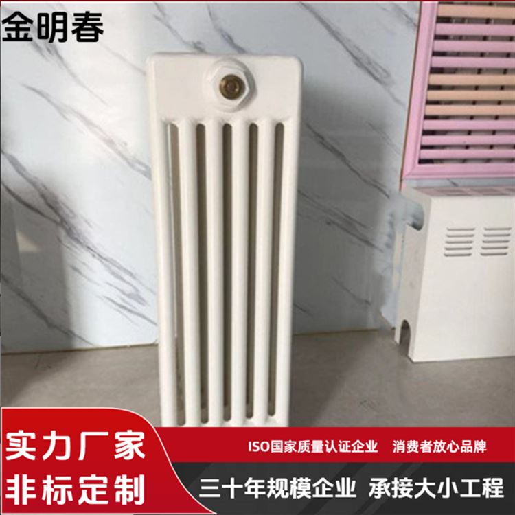 金明春 外型美观防腐 规格齐全 厂家供应 工程钢六柱暖气片