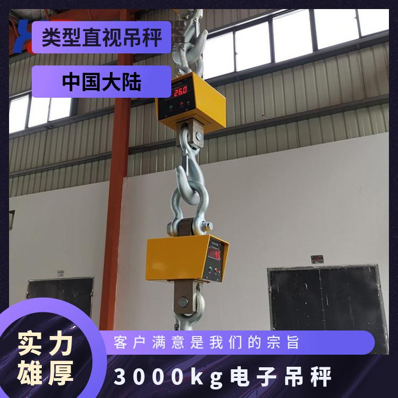 3吨吊钩秤 ocs3000电子吊 湘北钩子 35x60cm 铝壳 否 18kg