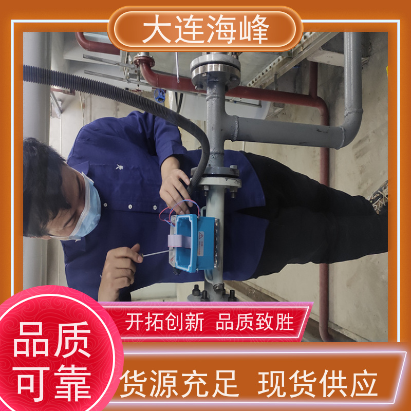 海峰TDS-100管段式超声波流量计 法兰连接抗干扰强