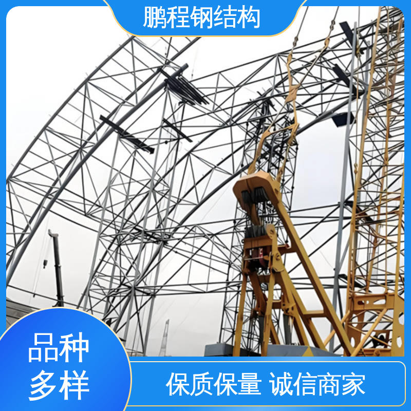 鹏程 大跨度 行业十年经验 加油站网架 厂家直供