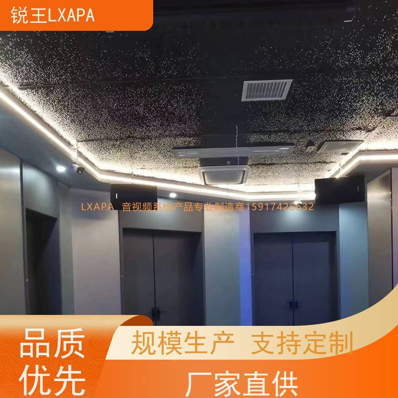 锐王LXAPA 音质优美 声扬线阵音箱 弧形会议音柱 礼堂音响设备