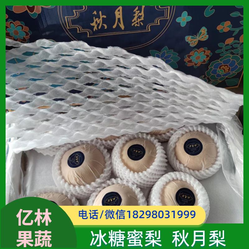 亿林苗木 果实饱满味道好 盆栽地栽庭院红香酥梨苗 中梨系列梨树苗