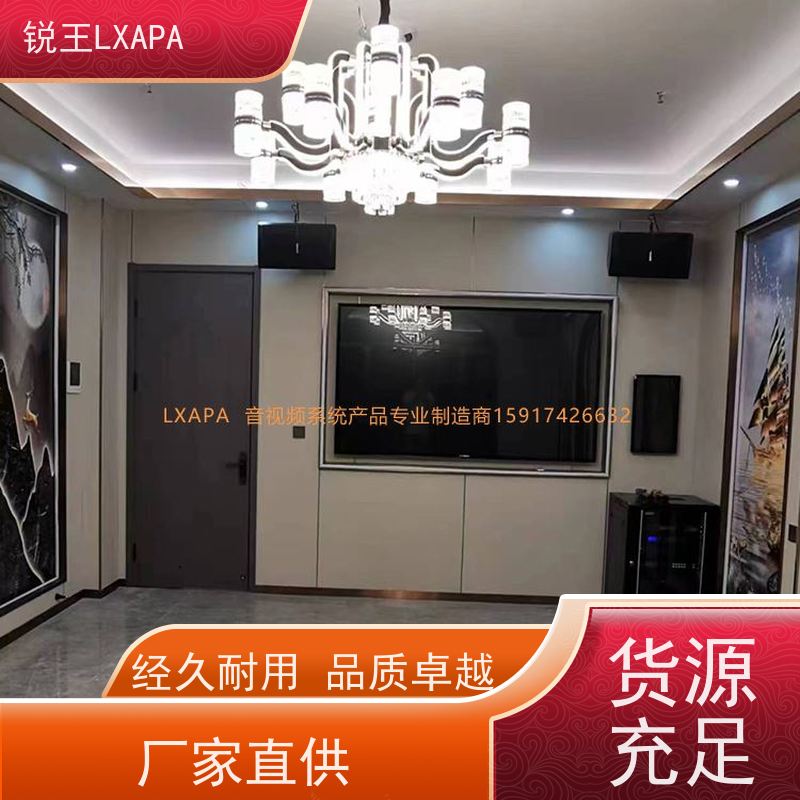 锐王LXAPA 演艺音响器材 校园音柱 会议中心用 双10寸线阵音箱