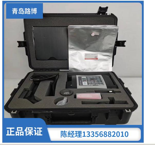 非甲烷总烃检测仪 美国赛默飞 PID+FID挥发气体分析仪