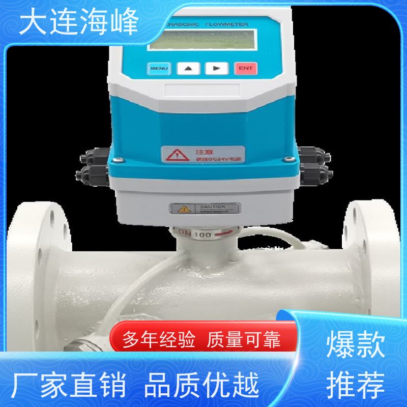 TDS-100F1G法兰连接无人为误差 管段式超声波流量计 海峰仪器