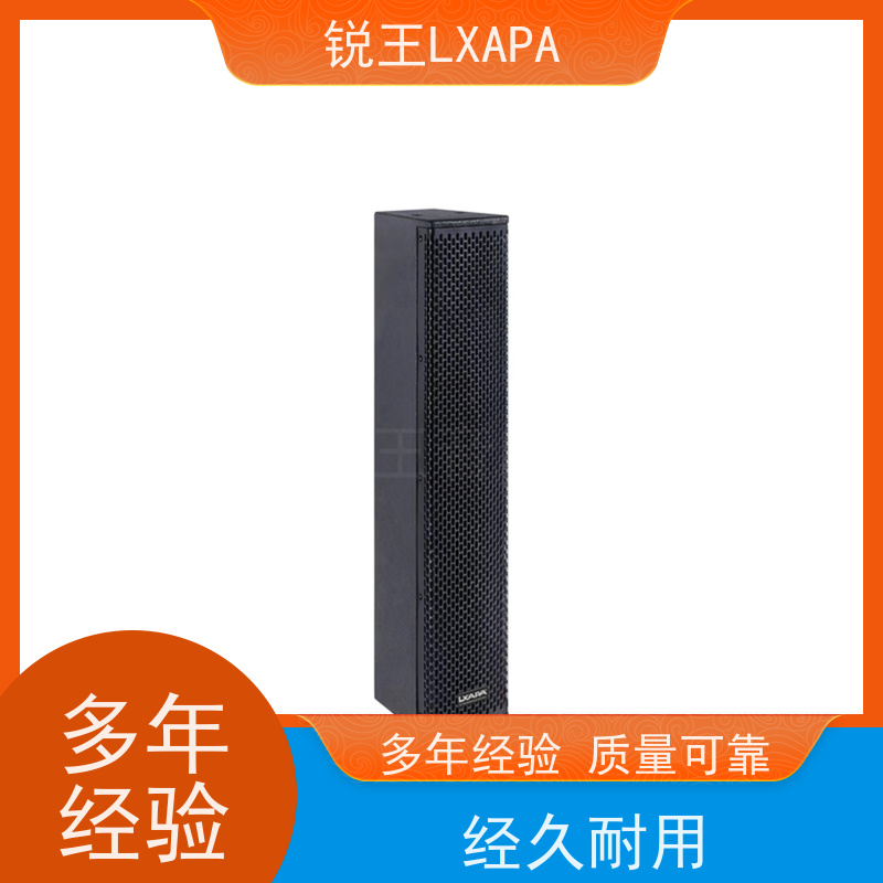 锐王LXAPA 双10寸线阵音箱 音响设备器材 人声还原 会议声柱