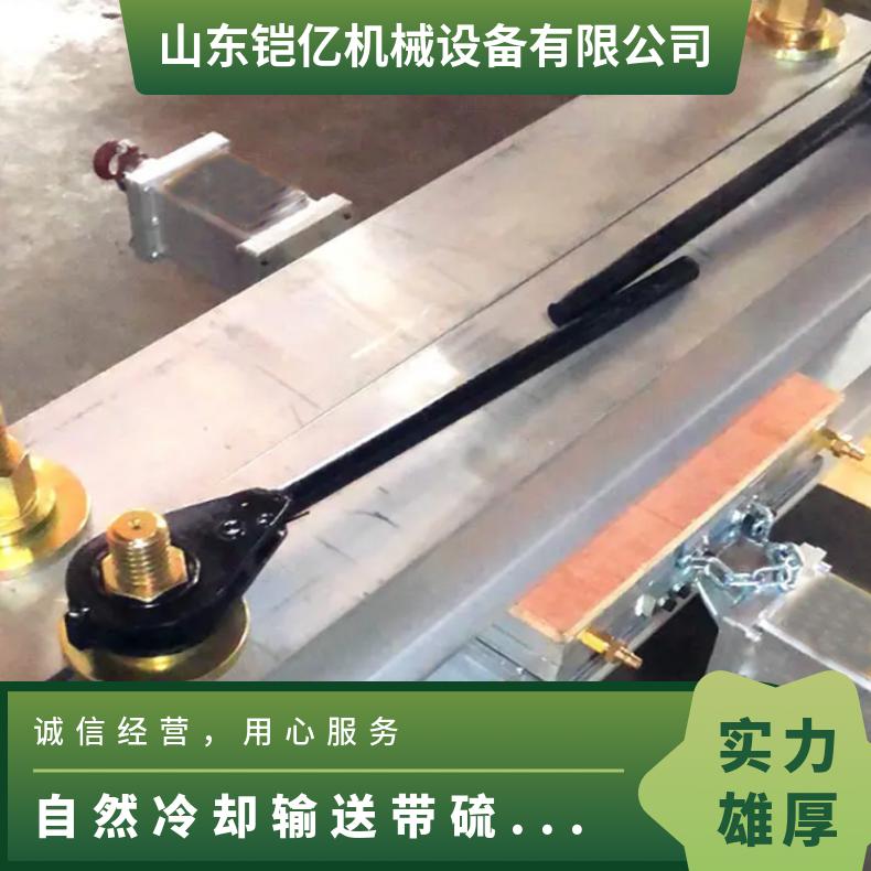自然冷却输送带电加热式硫化设备 型号HMLHJ800