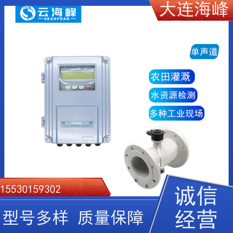 进口管段式超声波流量计 管段外夹式 防爆耐高温 能源冶金行业 大口径