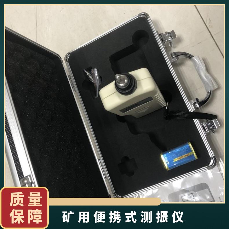 CZY200矿用便携式测振仪 测量范围0.1～199.9m/s2