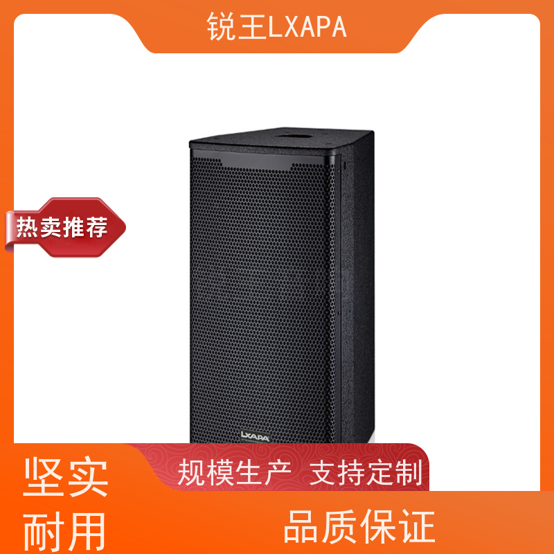锐王LXAPA 可调指向声柱 扩声音响 适合于多功能厅 会议室壁挂音箱